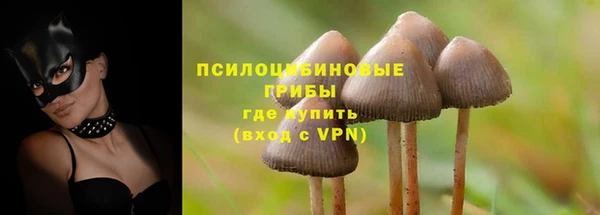 герыч Верхний Тагил