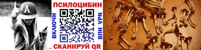 Псилоцибиновые грибы Magic Shrooms  Камышлов 